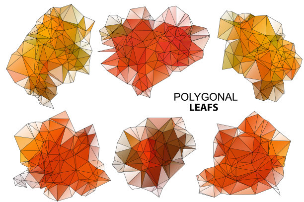 多边形叶为设计抽象的白色图片下载