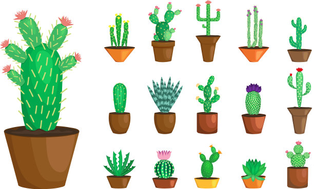 盛开的仙人掌与盆中的仙人掌图片下载