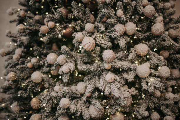 街道上白雪覆盖的舒适咖啡馆，在圣诞节和冬季假日装饰的咖啡馆的外观图片下载