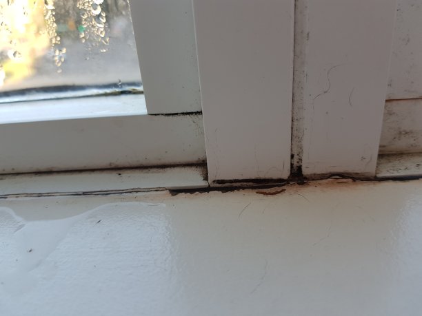 窗户上有水珠和霉菌图片下载