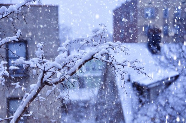 下雪的一天图片下载