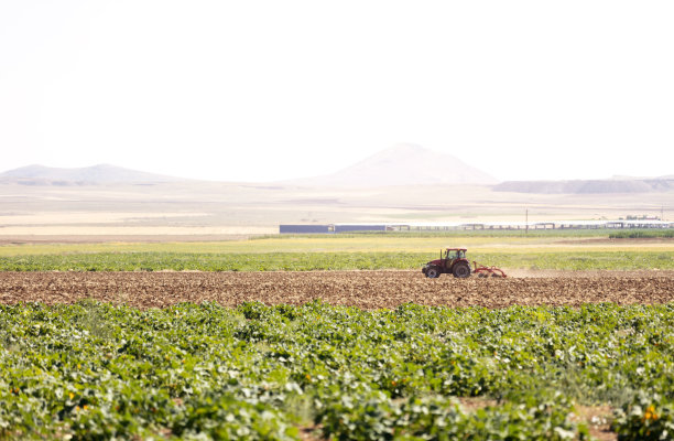拖拉机的工作图片下载