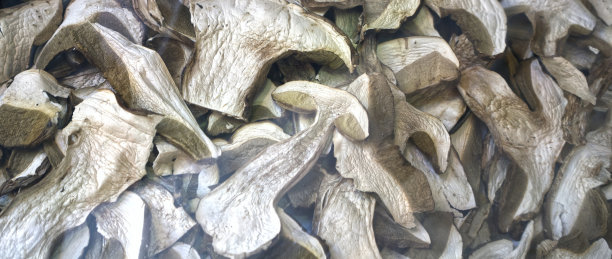 切片蘑菇图片下载