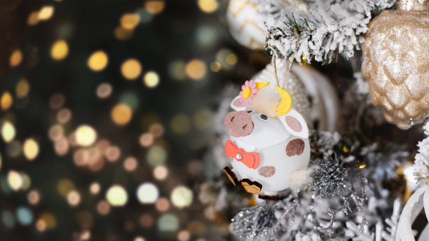 象征中国新年2021年，新年，圣诞节的概念。图片下载