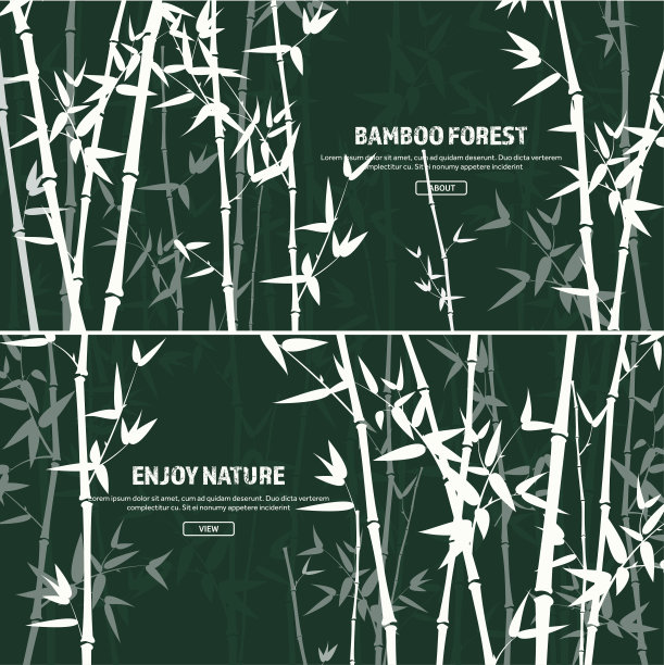 竹林布景。大自然。日本或者中国。有叶子的绿色植物。亚洲的热带雨林图片下载