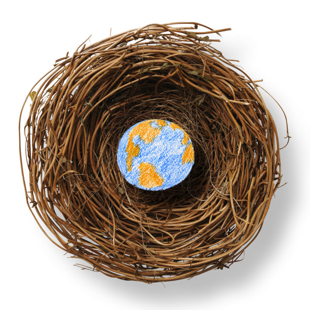 鸟巢的孤立镜头与地球在白色的背景图片下载