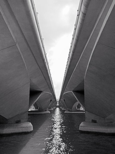 黑色和白色图片下载