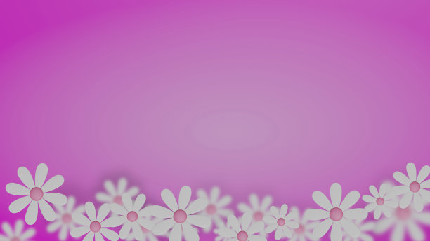 美丽的脚雏菊框架图片下载