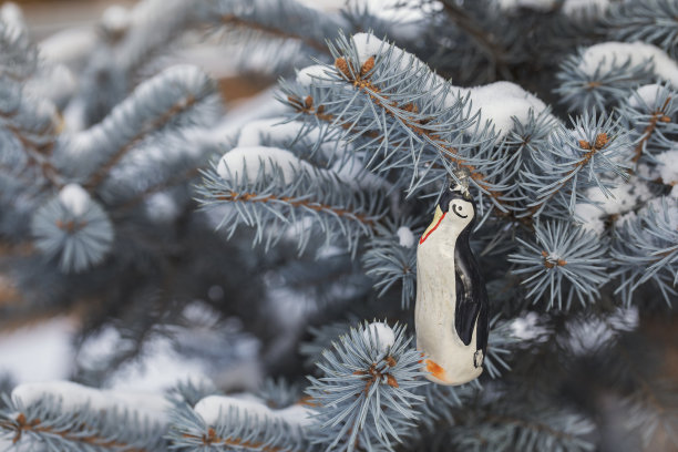 这是一个20世纪的古董新年玩具，挂在被雪覆盖的云杉树枝上。图片下载