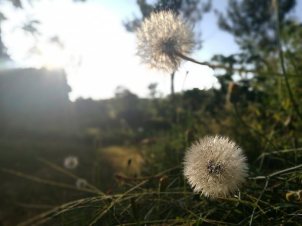 2 .牙齿远离用自然光图片下载