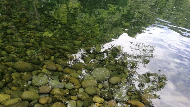 水中倒影图片下载