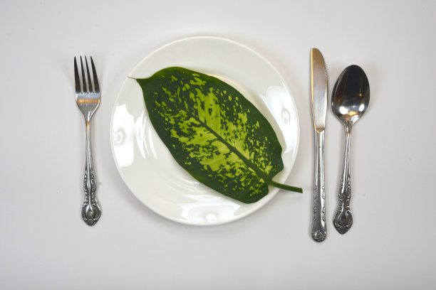 有趣的素食介绍图片下载