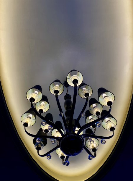 漂亮的古董背吊灯图片下载