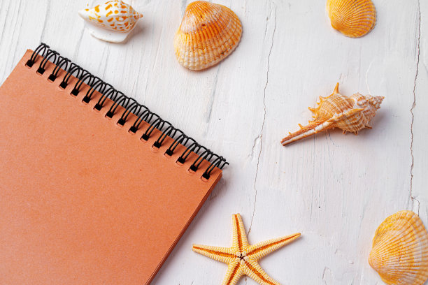 棕色的记事本，周围的海贝壳，白色木桌特写图片下载