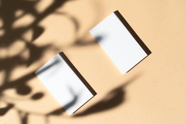 空白的白色名片上的米色背景与创造性的花卉阴影图片下载