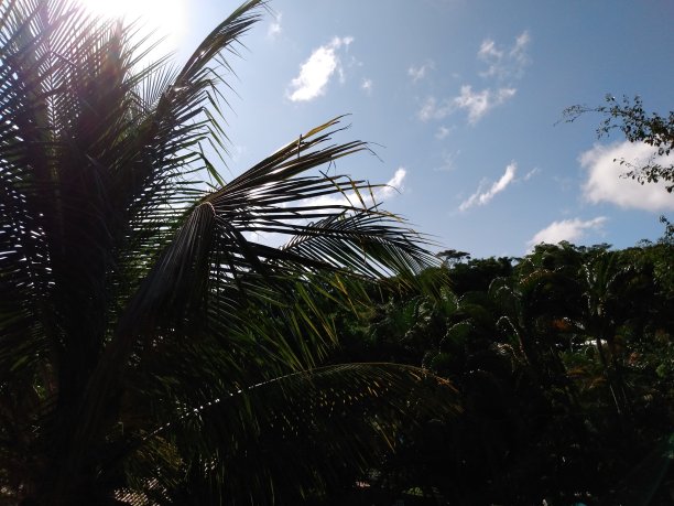 自然与生态旅游，乡村，山与树图片下载