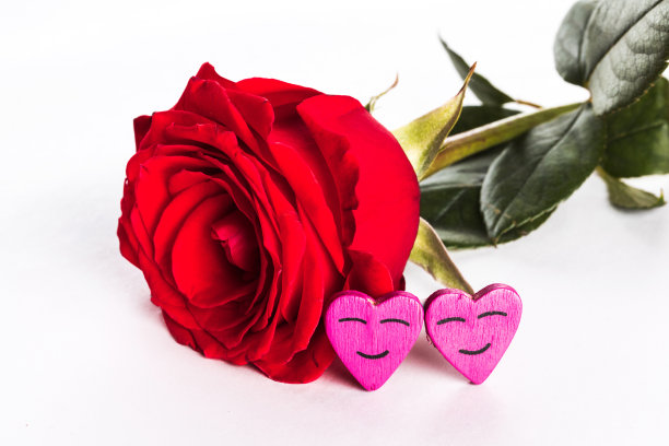 白色的玫瑰和爱心图片下载