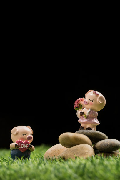 小猪在草地上图片下载