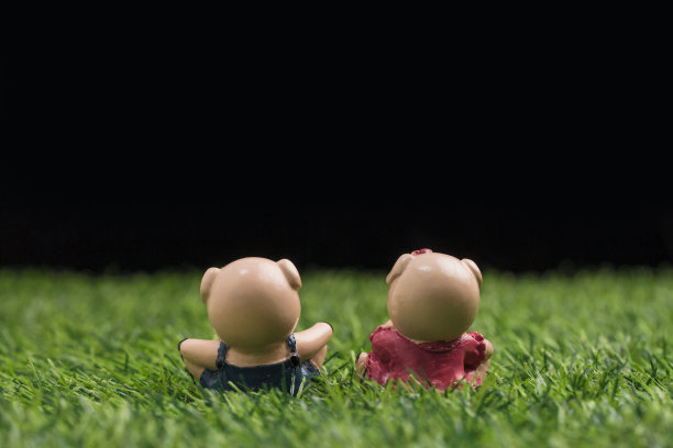 小猪在草地上图片下载