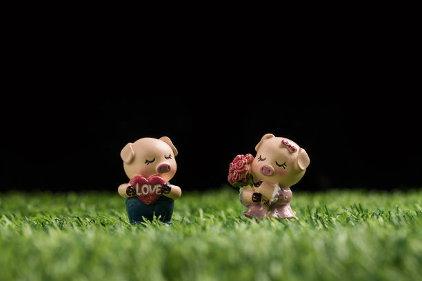 小猪在草地上图片下载