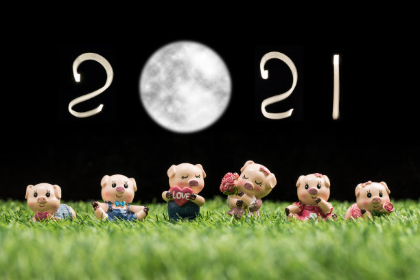草地上的小猪们期待着2021年的到来图片下载