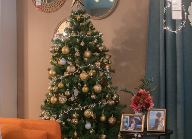 客厅里的圣诞树。图片下载