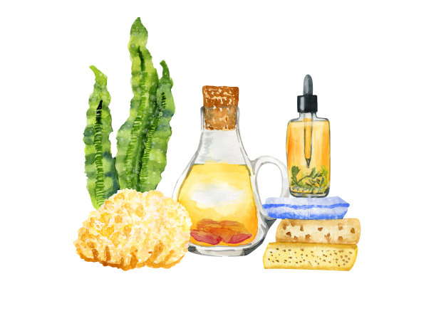 手绘水彩SPA芳香疗法组成白色图片下载