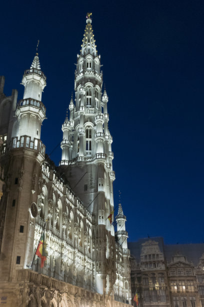 晚上在大广场的布鲁塞尔市政厅图片下载