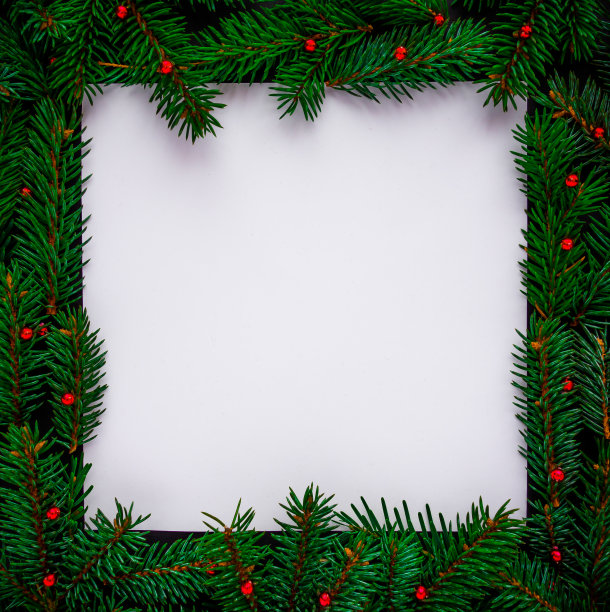 创意布置的圣诞树树枝与纸卡片笔记图片下载