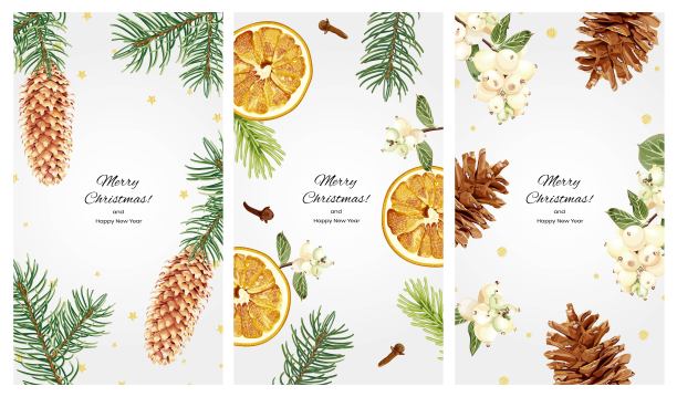 收集垂直圣诞背景的社会网络与文字空间。云杉树枝、球果、雪莓、橘子干、丁香和金色的五彩纸屑。图片下载