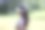 女子手中握着高尔夫球杆，遥望远方。图片下载
