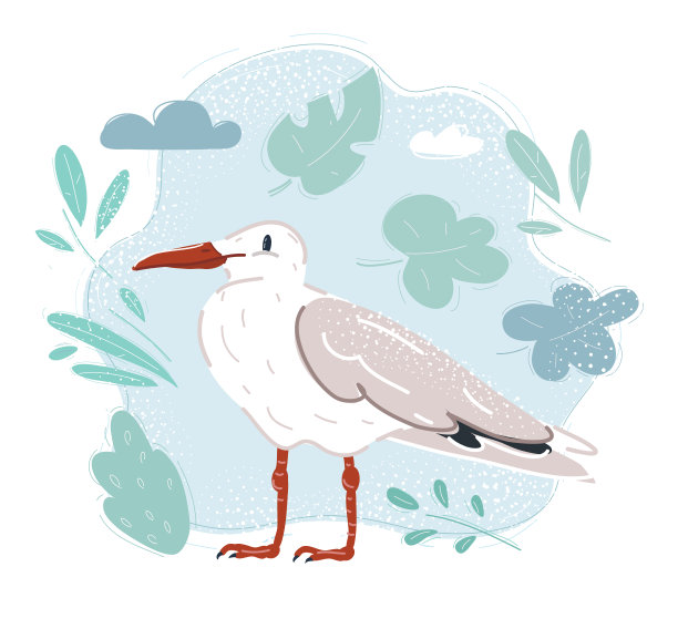 海鸥的卡通矢量插图。海军的概念。图片下载