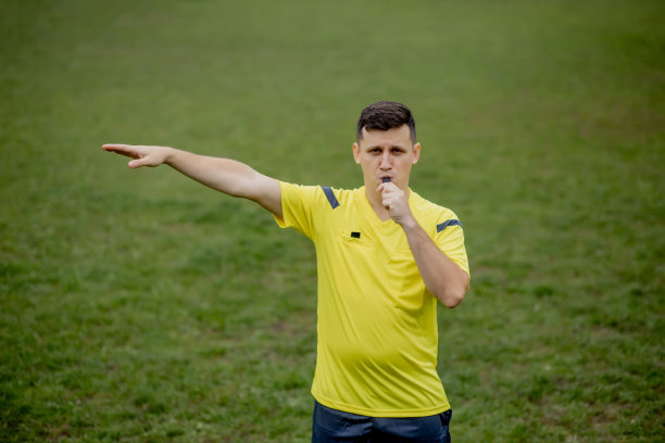 裁判员指出违规行为。运动的概念，违反规则，有争议的问题，克服障碍。图片下载