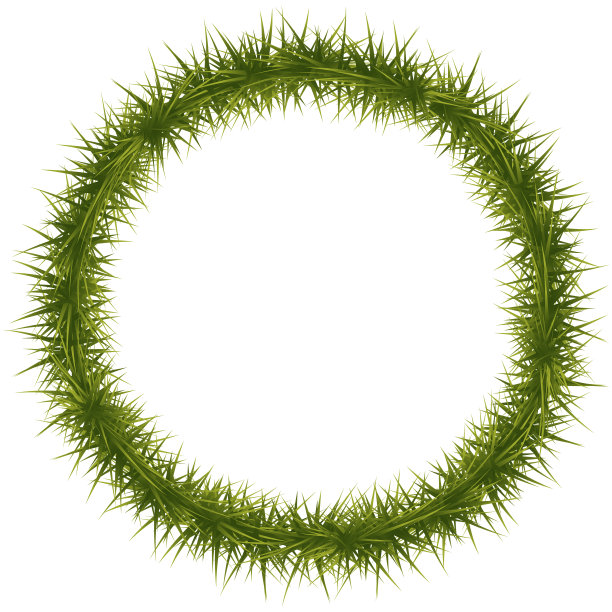 圣诞或新年花环的冷杉树枝孤立在白色的背景。背景与树枝的圣诞树。节日的装饰。矢量图图片下载