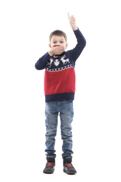 快乐兴奋的小男孩用手捂着嘴看着摄像机显示并指着上面。图片下载