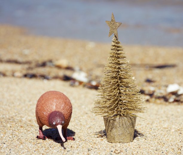 夏天的圣诞背景图片下载