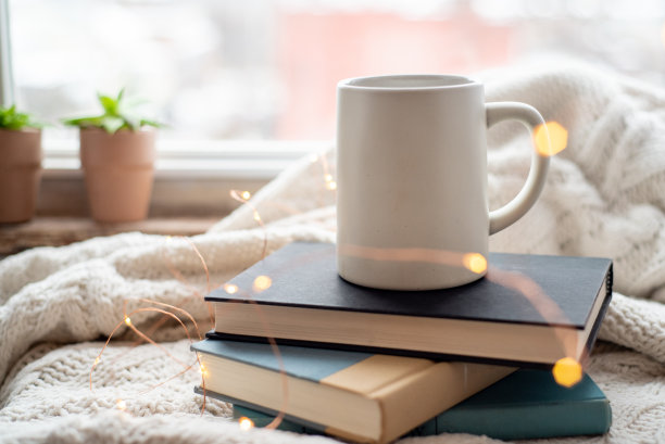 窗边毯子上放着马克杯和书的温馨居家照。图片下载