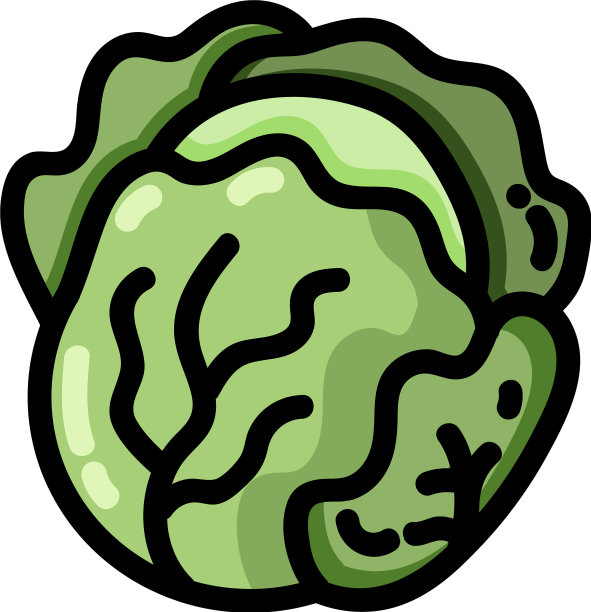 卷心菜平面轮廓图标蔬菜标志图片下载
