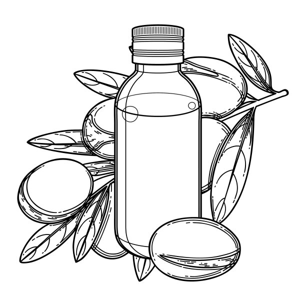 图片油瓶周围的坚果植物图片下载