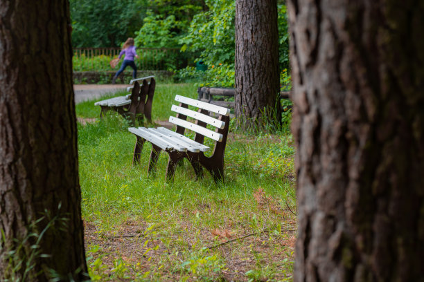 选择性聚焦拍摄公园里的一张木凳图片下载