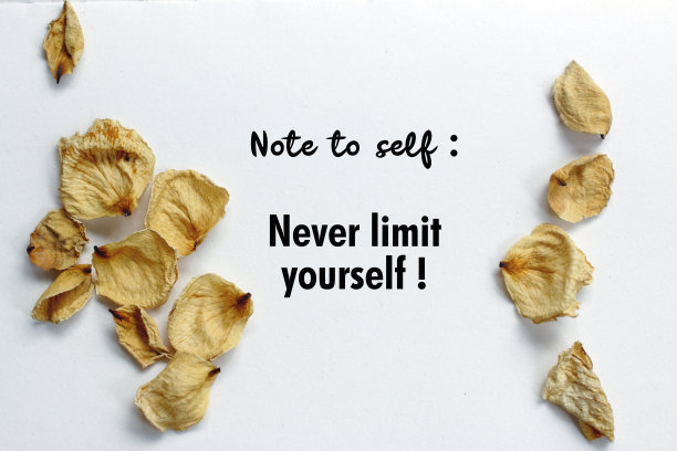 边框照片素材ID：388407660