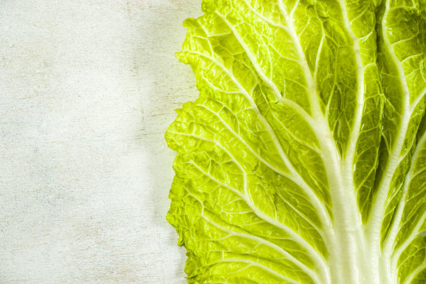 白菜的叶子在白色的背景下，白菜的叶子质地，颜色呈绿色图片下载