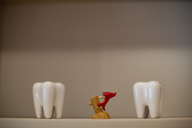 牙齿模型玩具图片下载