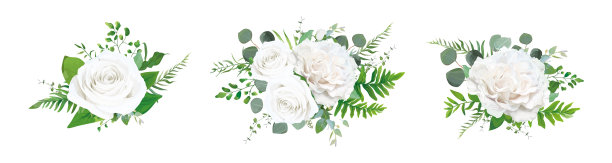 花束设计象牙白的花元素图片下载