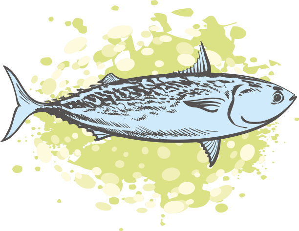 简述金枪鱼水底动物海鲜图片下载