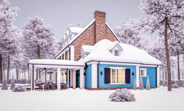 3d渲染的现代古典住宅在冬天的晚上殖民风格图片下载