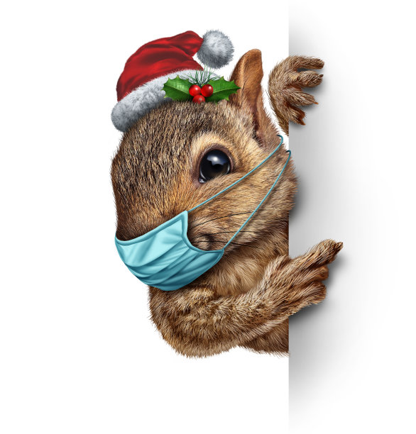 健康的假期图片下载