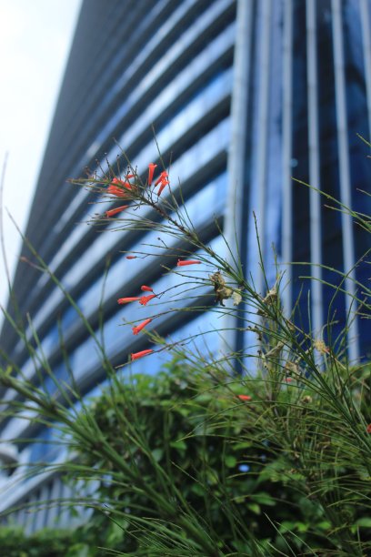 厂房在建筑物前面。图片下载