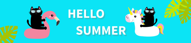 黑猫漂浮在白色火烈鸟独角兽池浮水圈。游泳池的水。你好,夏天。可爱的卡通轻松的角色。顶部空中视图横幅。太阳镜。棕榈树叶。平面设计。图片下载