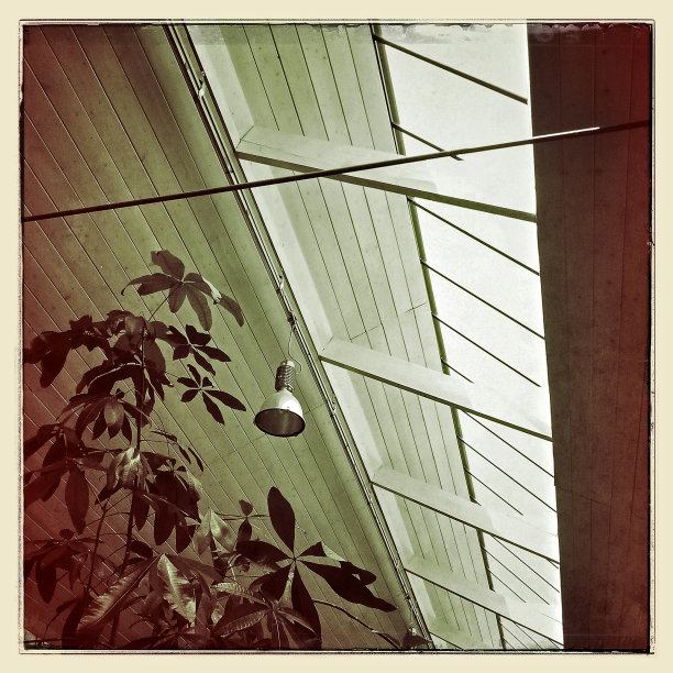 木质屋顶天窗，枝形吊灯和植物图片下载